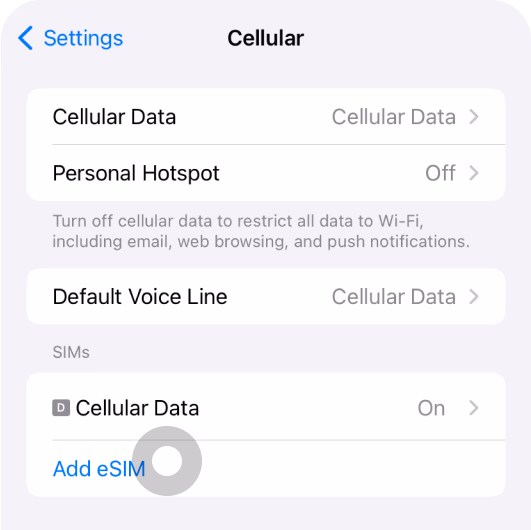 Select Add eSIM.